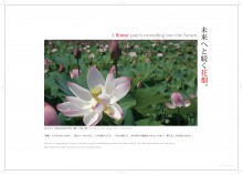 N_MS_24