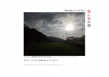 N_MS-16-01
