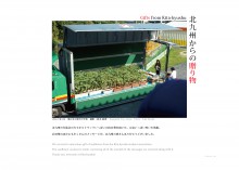 N_TN-2-03-01